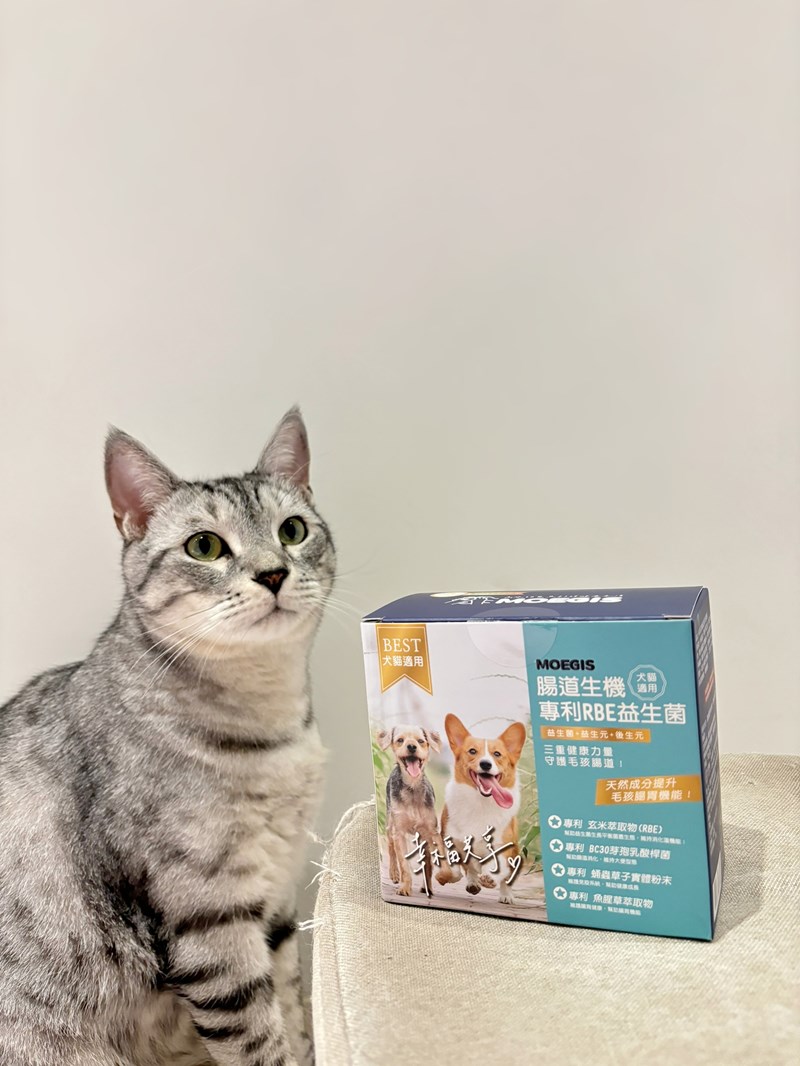 女人知己試用大隊,口碑行銷,部落客行銷,Moegis萌吉 腸道生機專利RBE益生菌,寵物益生菌,專利RBE益生元,專利蔬果酵素,小分子胜肽,藍藻粉,維持免疫力,幫助維持消化道機能,維持正常食慾,改變細菌叢生態,腸胃保健,犬貓適用